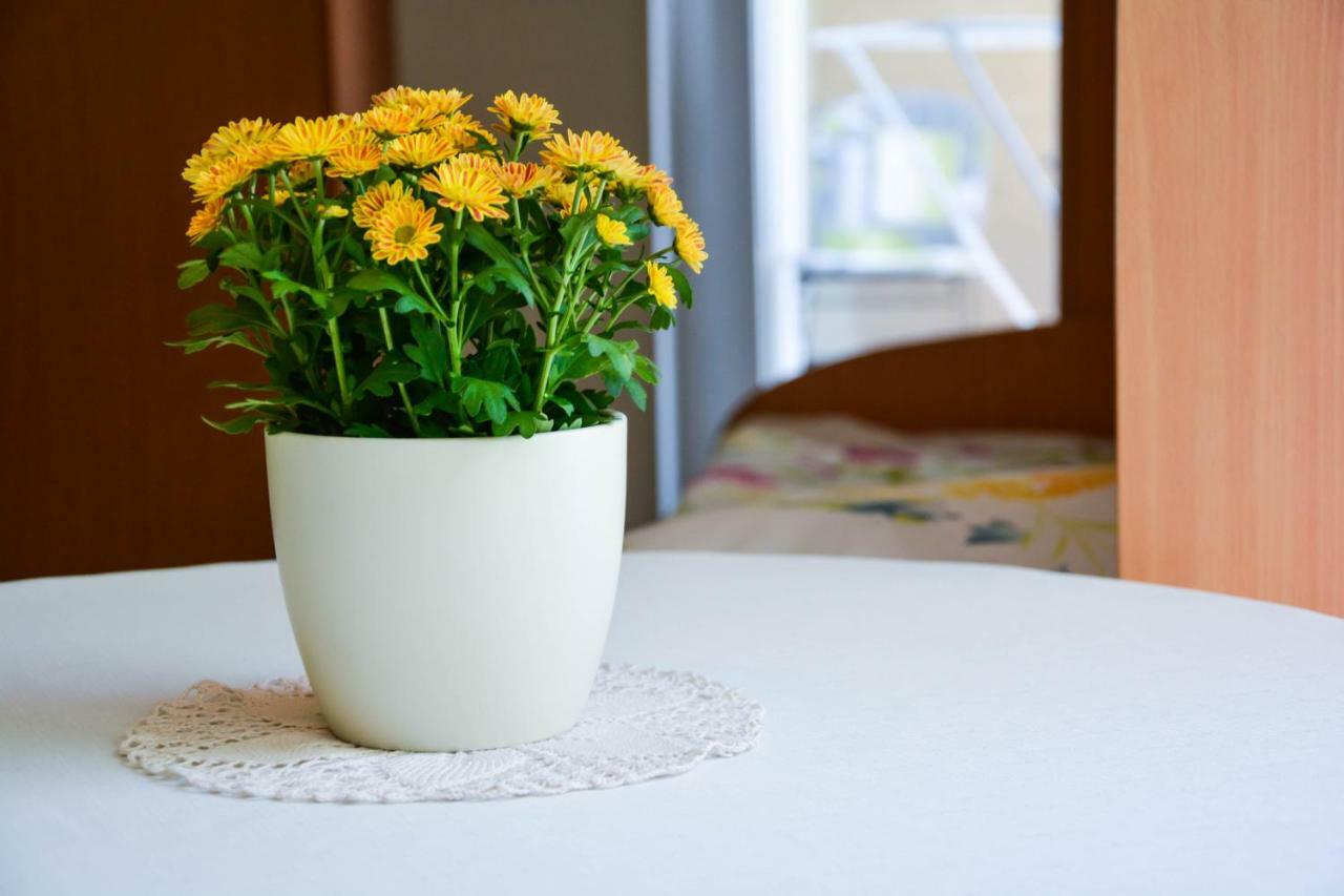Homestay Rosalia Λιουμπλιάνα Δωμάτιο φωτογραφία
